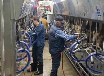 Dairy Mechanical and Electrical Service